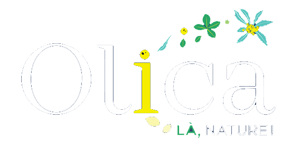 Logo OLICA