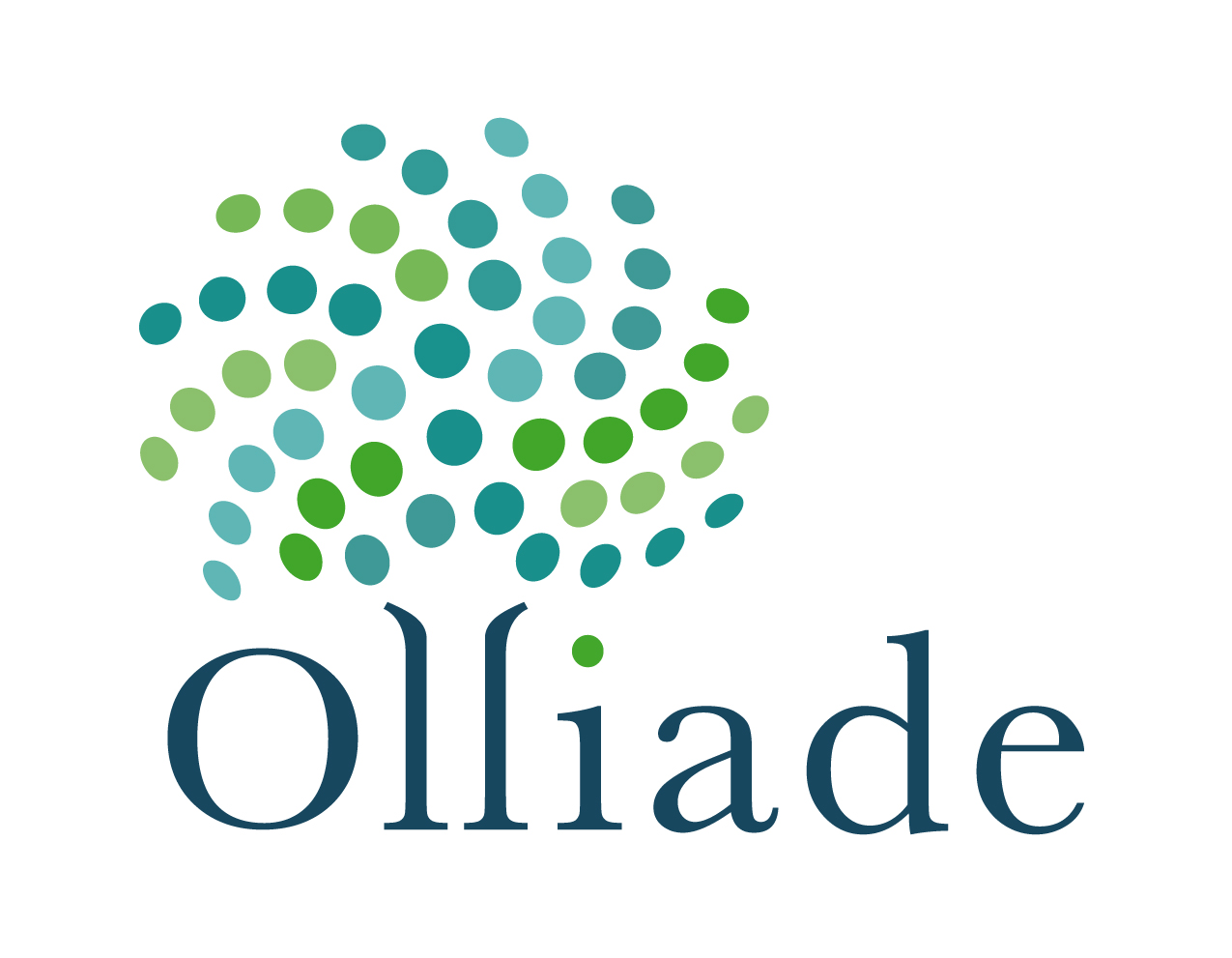 Logo OLLIADE