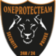 Logo ONEPROTECTEAM (ONEPROTECTEAM)