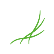 Logo OPALIN