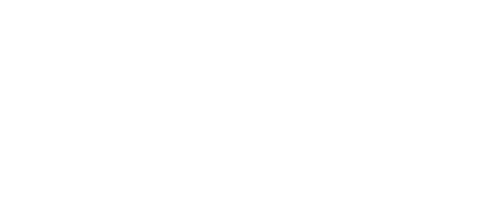 Logo OPEX