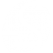Logo OPTA S