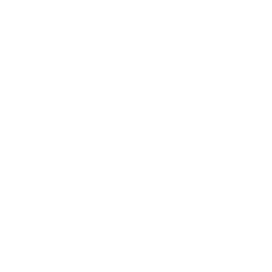 Logo OPTIGEST +