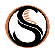 Logo OPTIMUM SECURITE