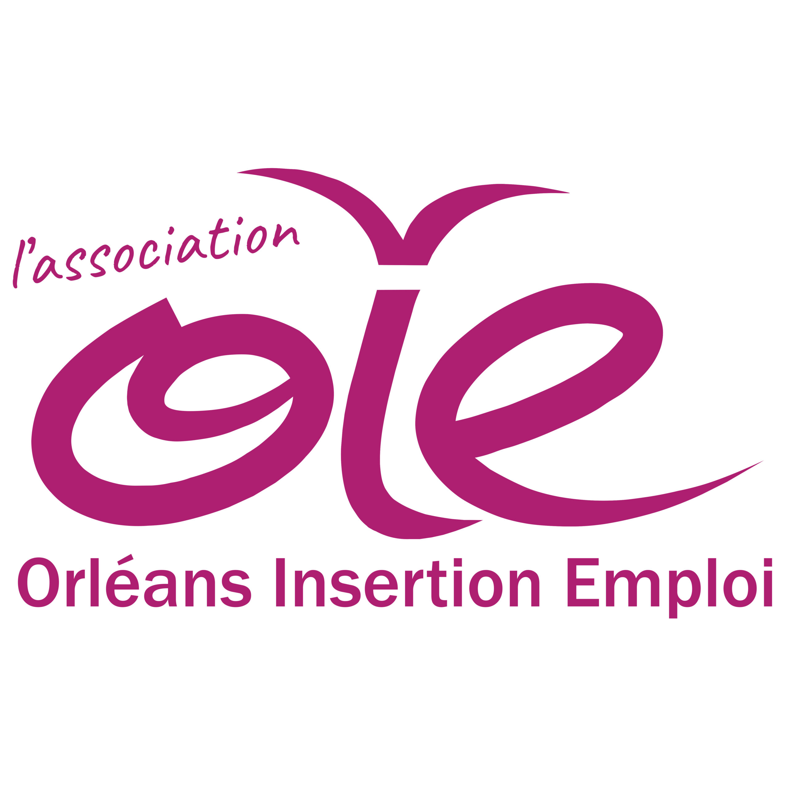 Logo ORLEANS INSERTION EMPLOI