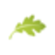 Logo OVE PLENIOR