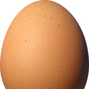 Logo P'TIT GONE