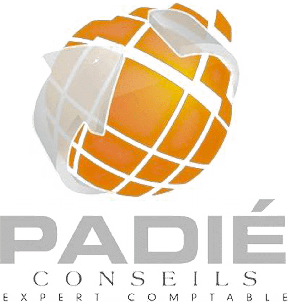 Logo PADIE CONSEILS