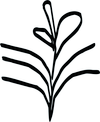 Logo PAGAILLE