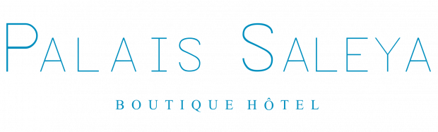 Logo PALAIS SALEYA