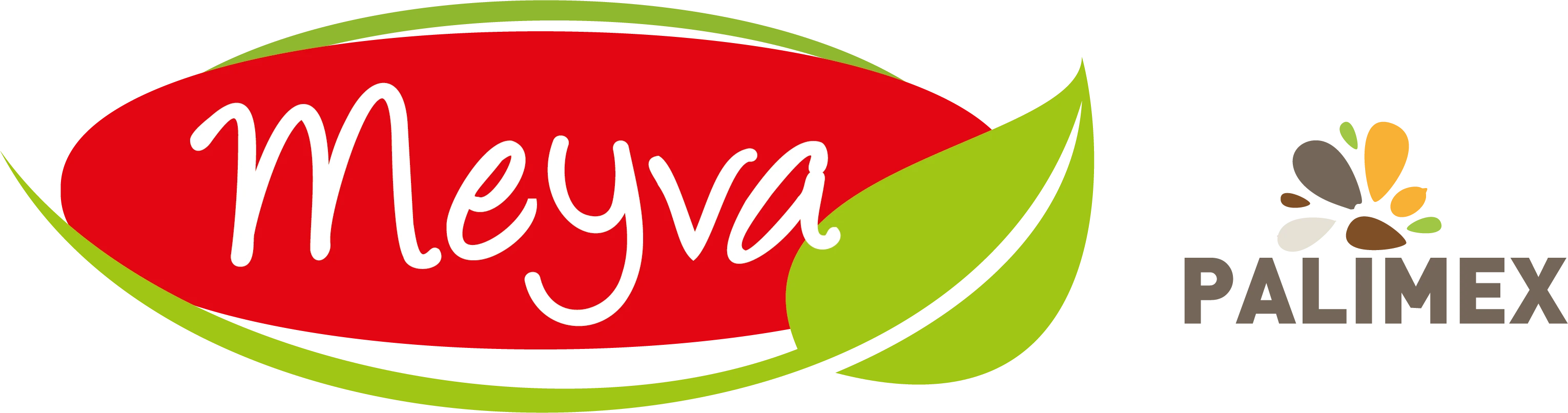 Logo PALIMEX