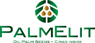 Logo PALMELIT SAS
