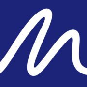 Logo PANEL DRIVE (PANEL BY MS GROUPE)