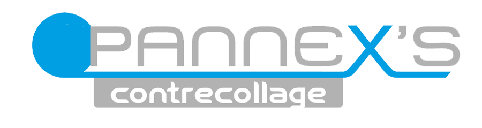 Logo PANNEX'S