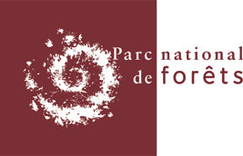 Logo PARC NATIONAL DE FORETS