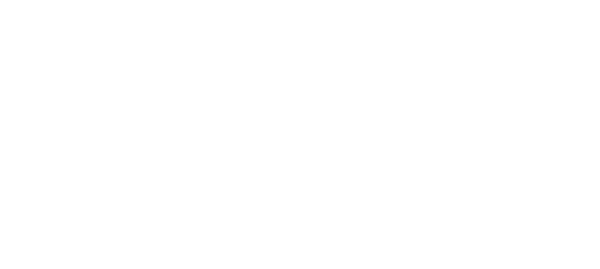 Logo PASCAL ROCHE