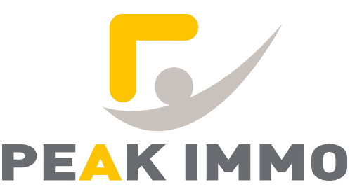 Logo PEAK DEVELOPPEMENT