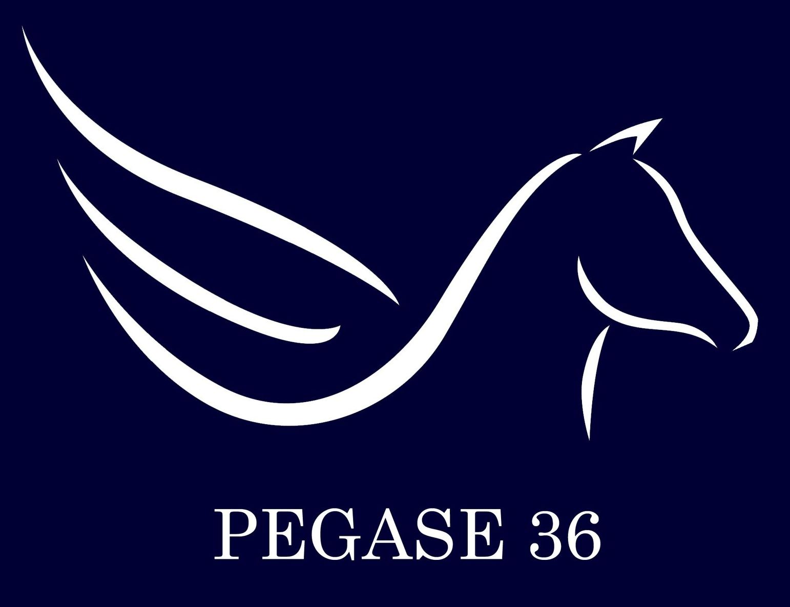 Logo PEGASE 36