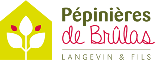 Logo PEPINIERES DE BRULAS