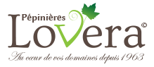 Logo PEPINIERES LOVERA
