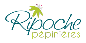 Logo PEPINIERES RIPOCHE