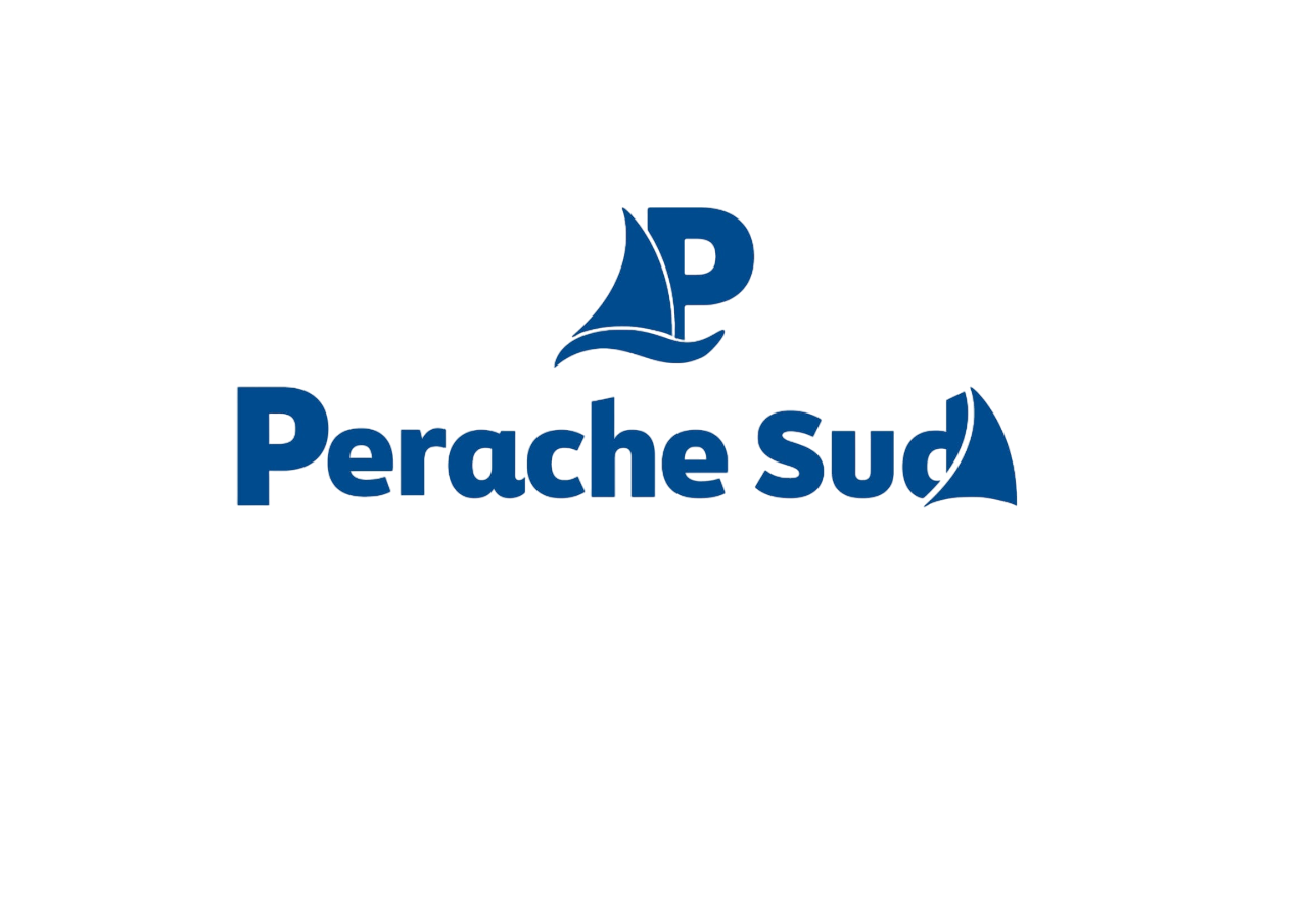 Logo PERACHE SUD