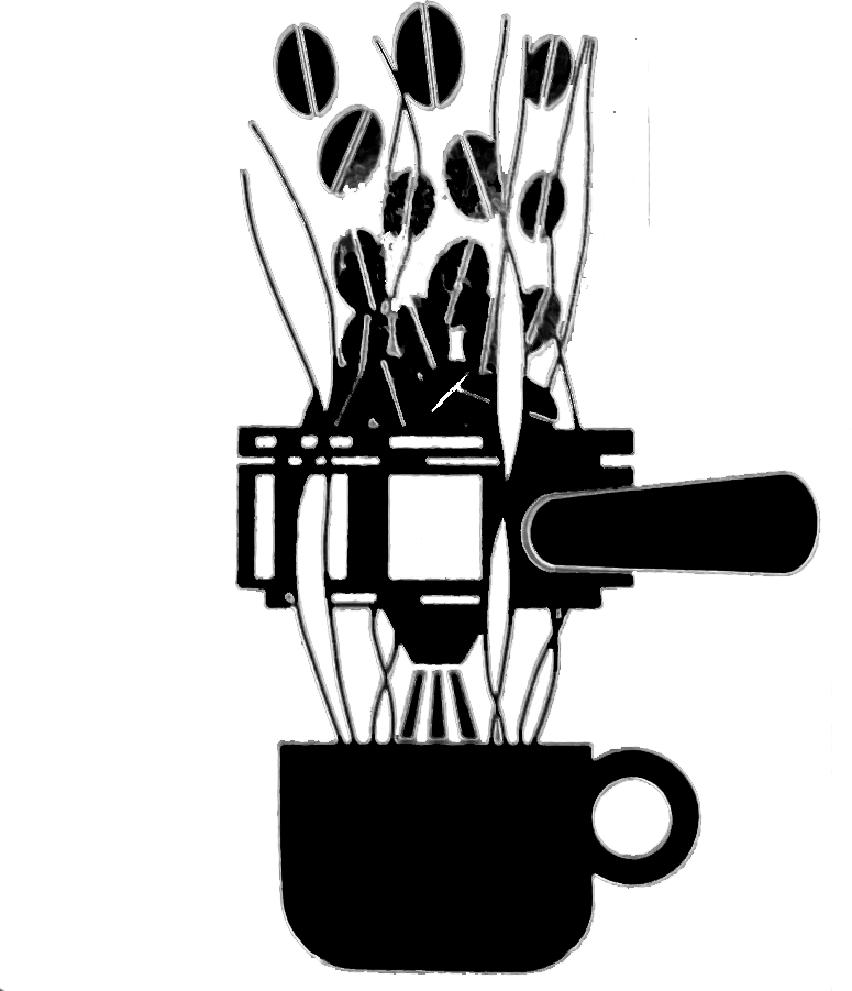 Logo PERSON SARL