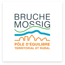 Logo PETR BRUCHE MOSSIG