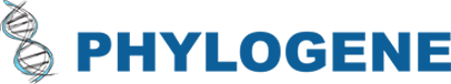 Logo PHYLOGENE