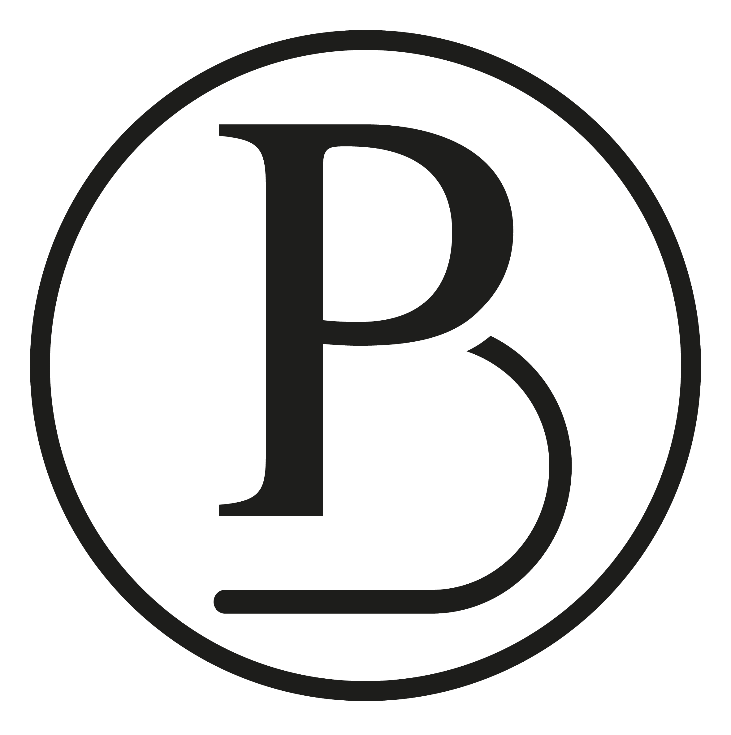 Logo PICHARD-BALME