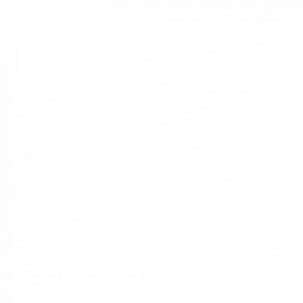 Logo PICHON