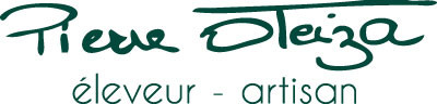 Logo PIERRE OTEIZA