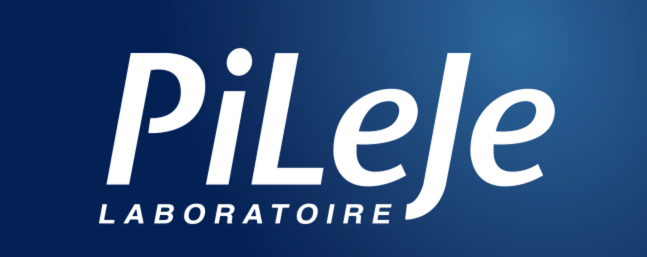 Logo PILEJE
