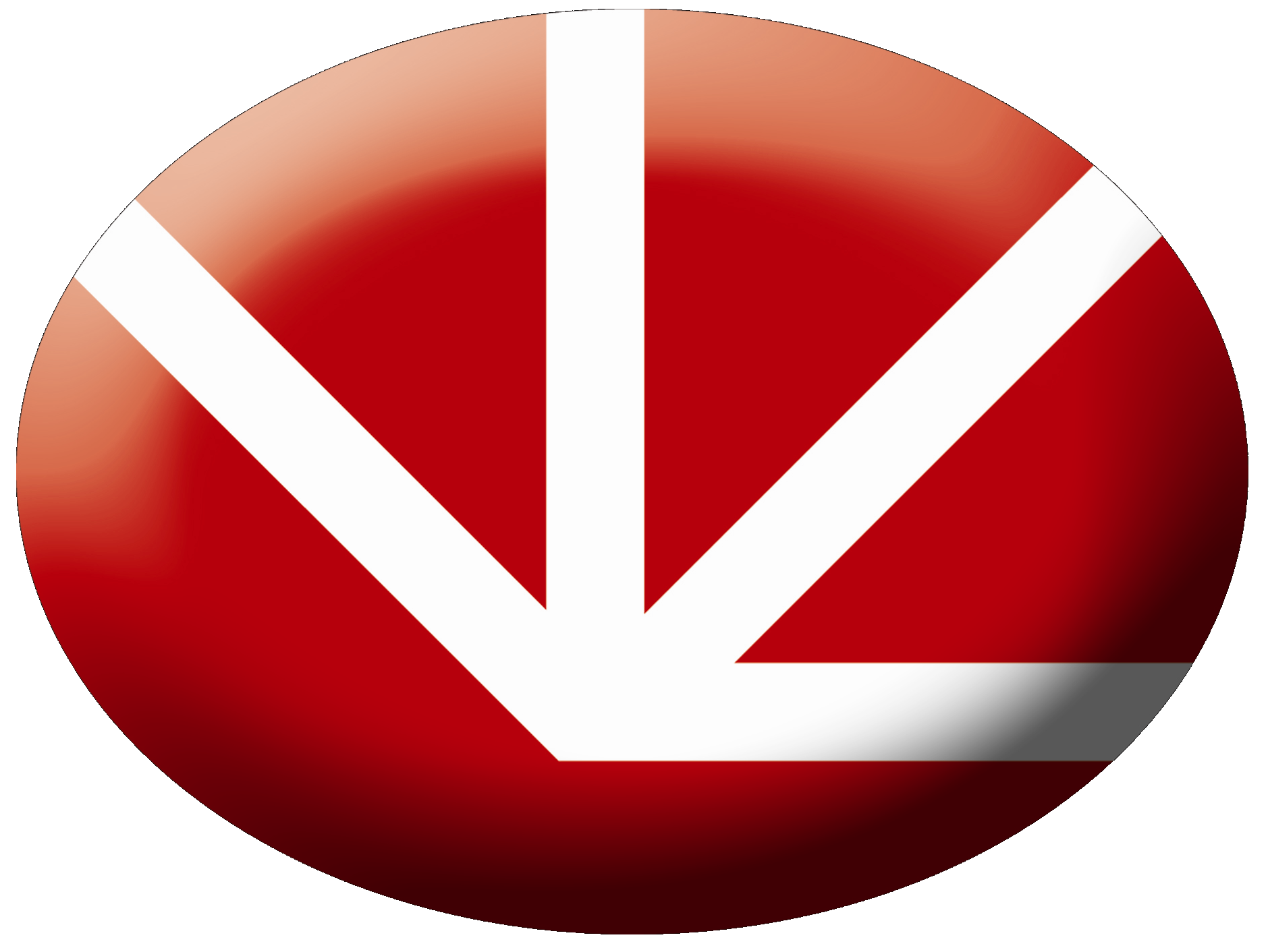 Logo PL SYSTEMS