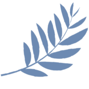 Logo PLAGE DU FESTIVAL