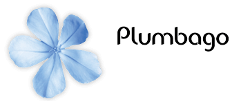 Logo PLUMBAGO NETTOYAGE