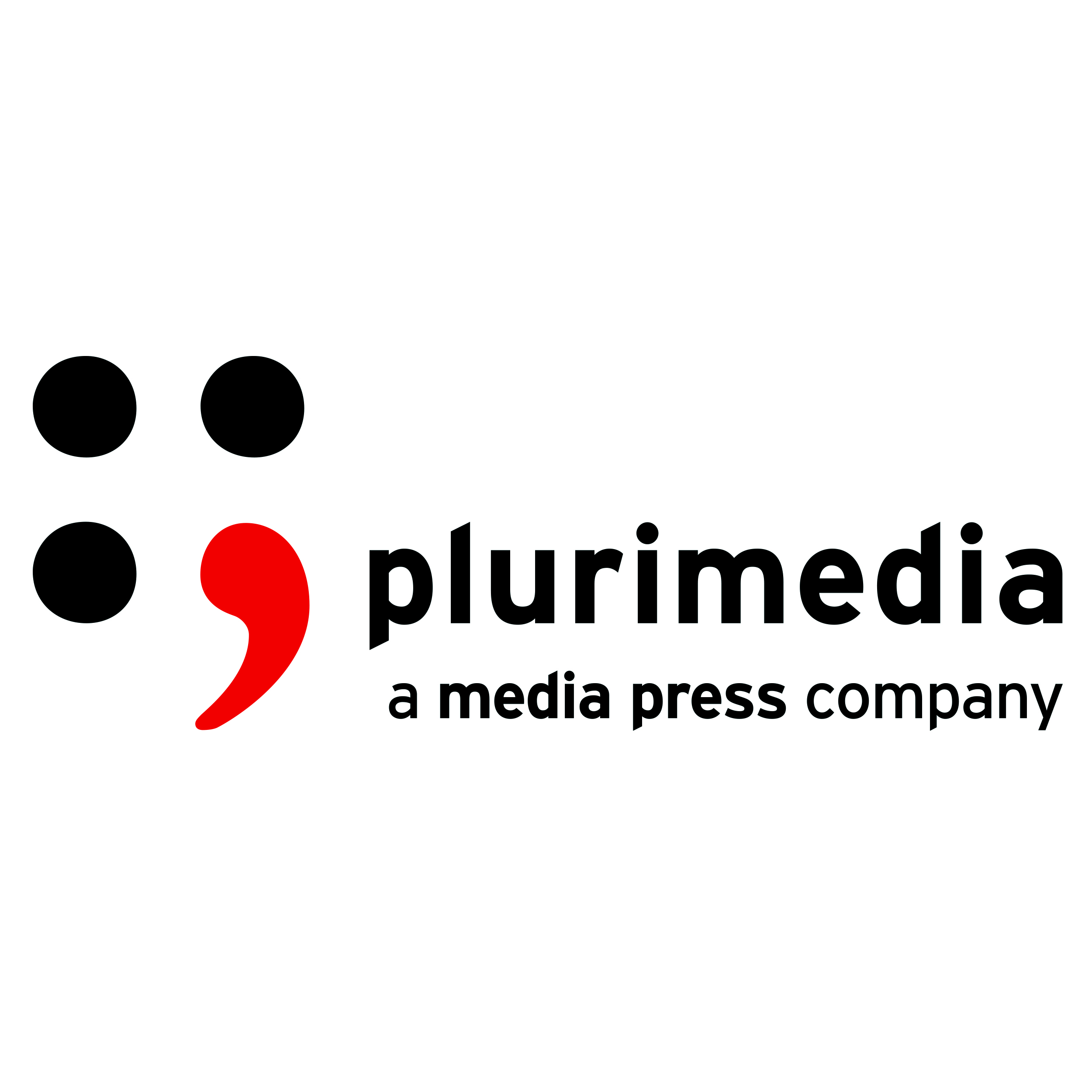 Logo PLURIMEDIA