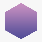 Logo POLYGO