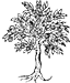 Logo POMMIER