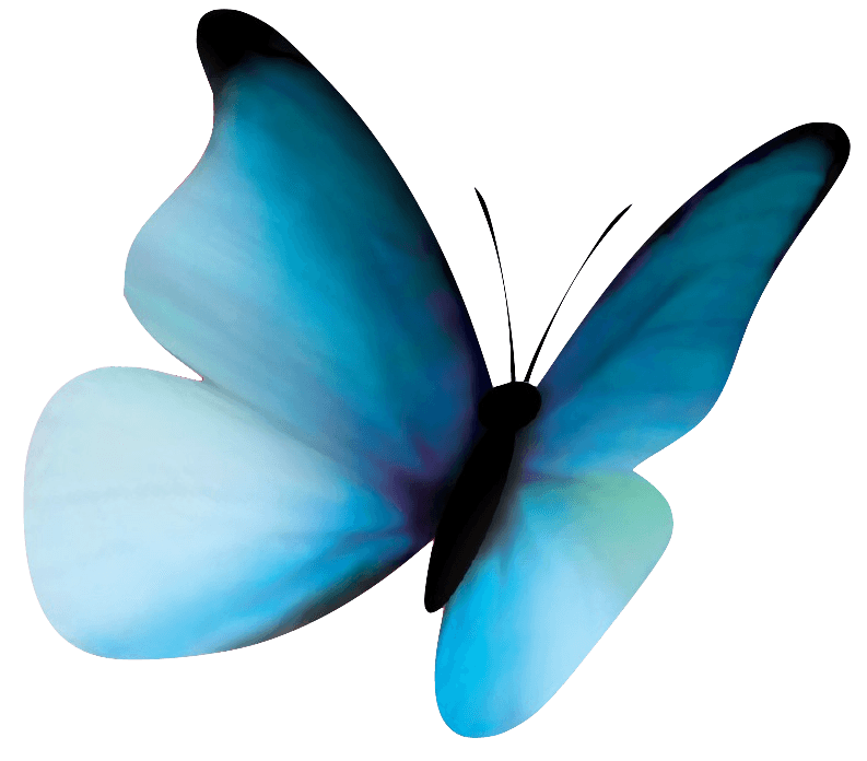 Logo POMPES FUNEBRES SENET