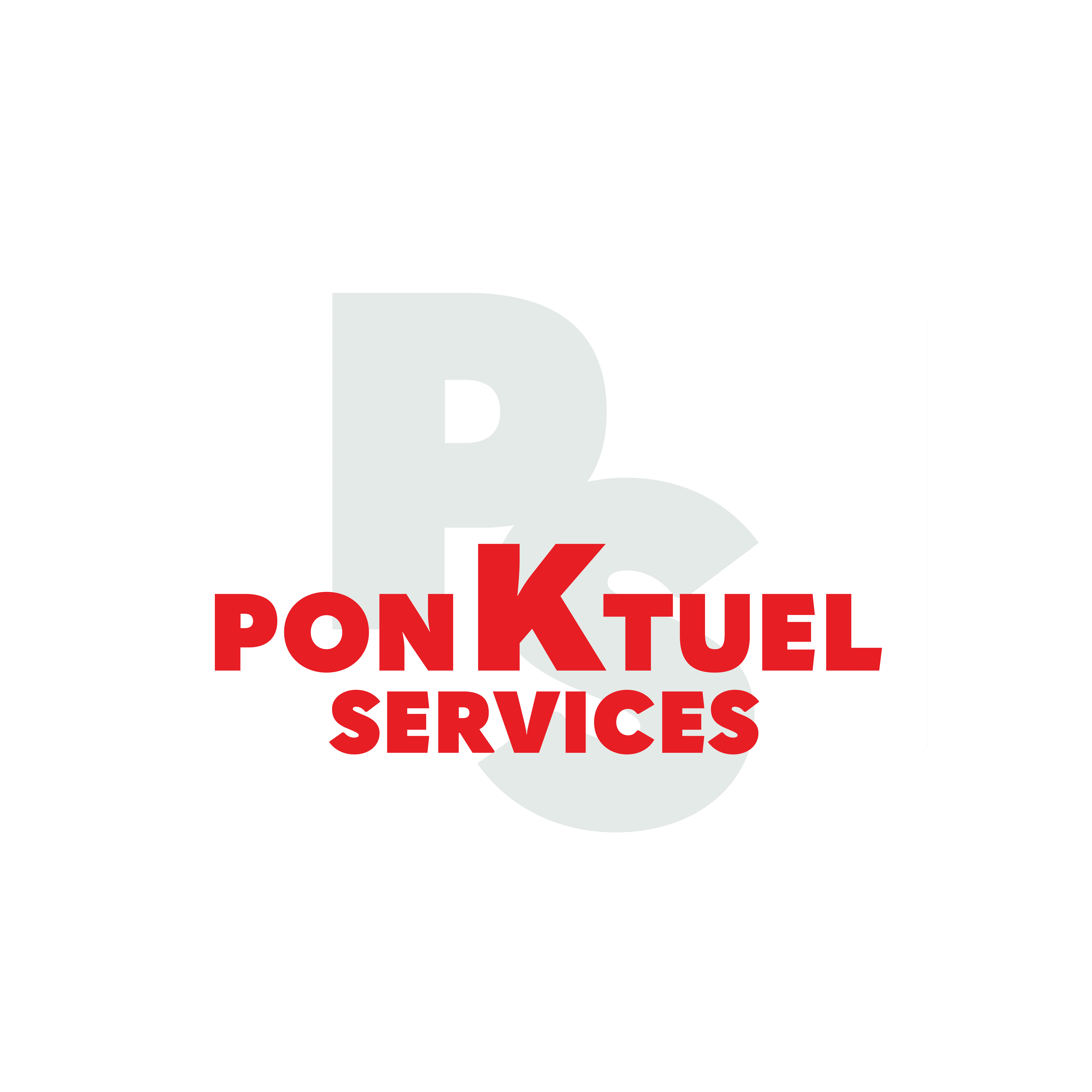 Logo PONKTUEL SERVICES