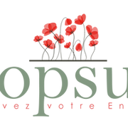 Logo POPSUN