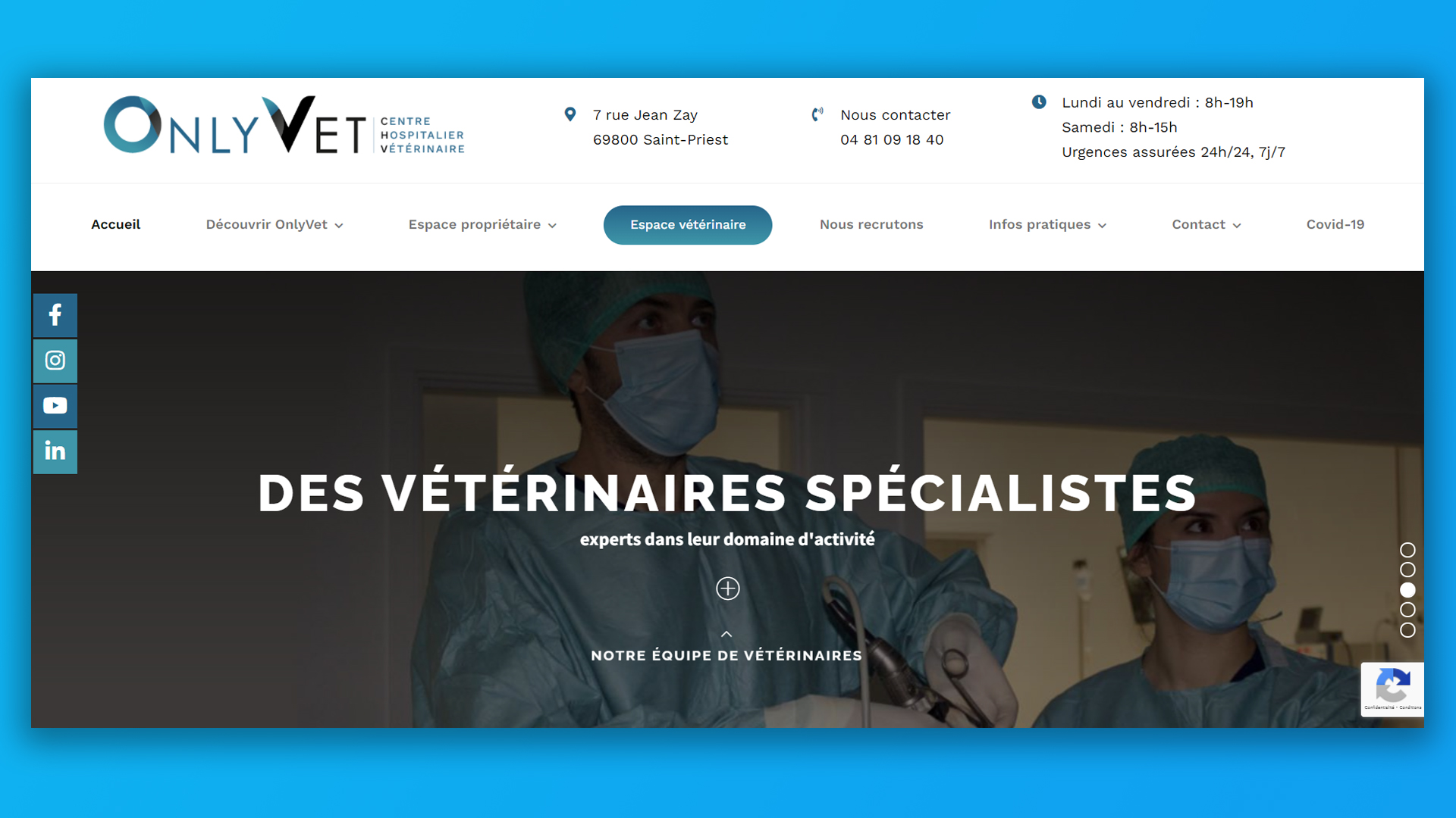 Logo PRALVET (ONLY VET)