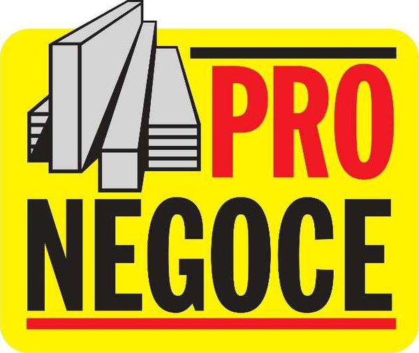 Logo PRO NEGOCE PIRES (PNP)