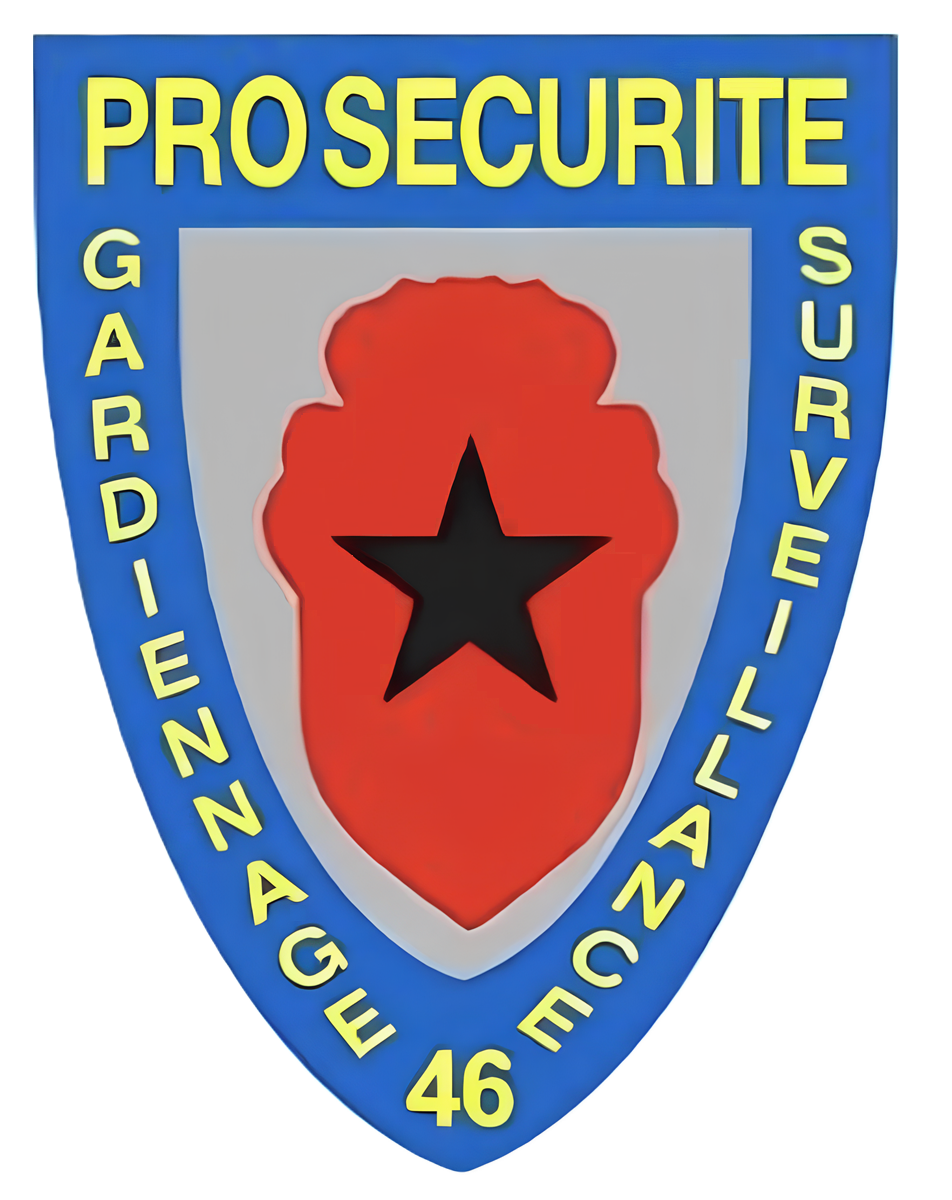 Logo PRO SECURITE