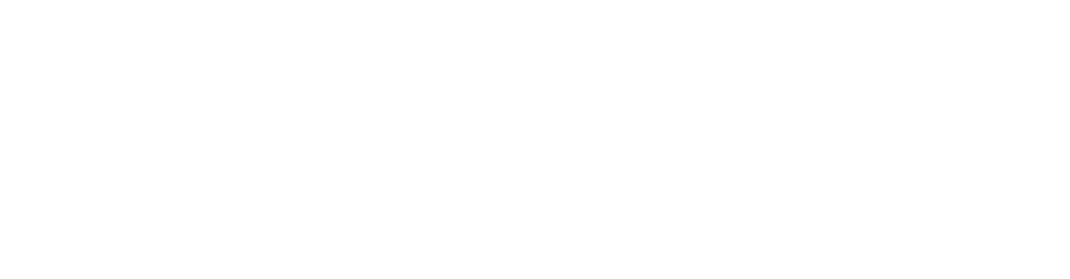 Logo PROFERM MULTITECHNIQUES