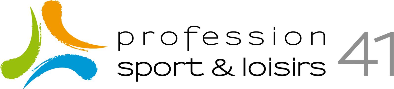 Logo PROFESSION SPORT 41 (PS41)