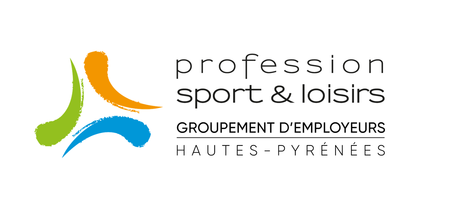 Logo PROFESSION SPORT ANIMATION 65