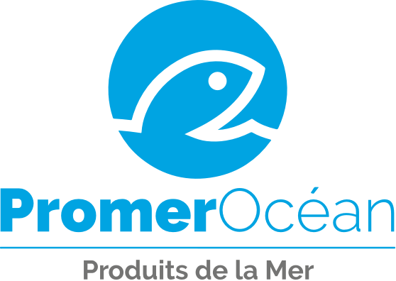 Logo PROMER OCEAN
