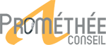 Logo PROMETHEE CONSEIL